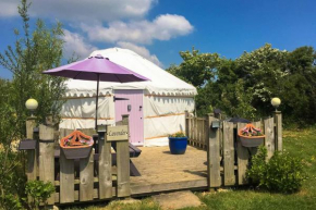 Lavender Yurt